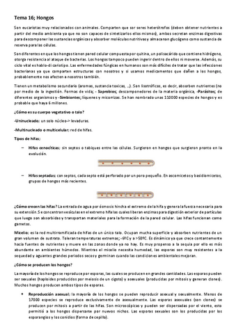 Tema-16-Hongos-1.pdf