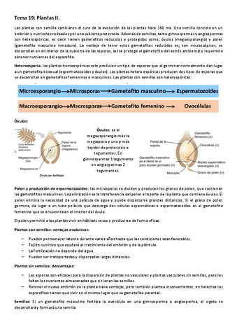 Tema-19-Plantas-II.pdf