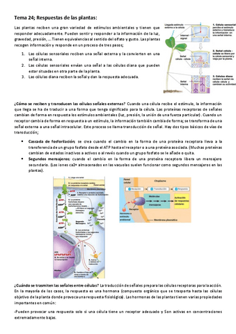 Tema-24-Respuestas-de-las-plantas.pdf