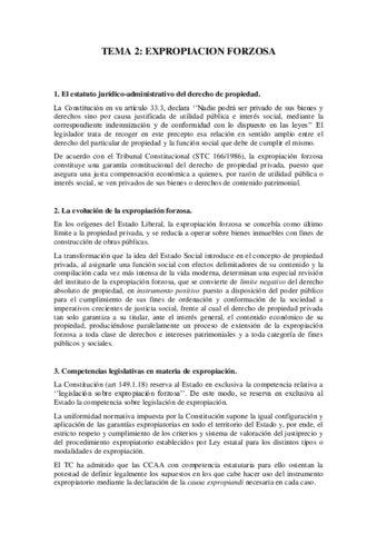 TEMA 2.pdf