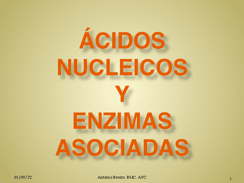 UT-2.-ACIDOS-NUCLEICOS-Y-ENZIMAS-ASOCIADAS.pdf