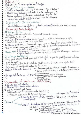 Resumen-Bloque-2.pdf