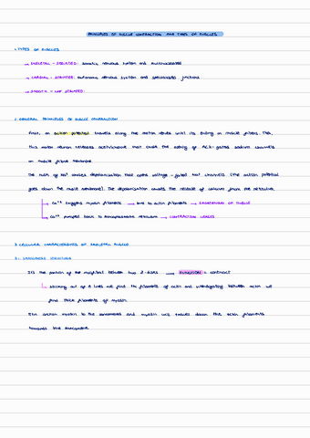 T5-muscle-excitation-contraction.pdf