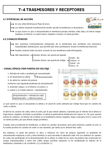 T-4-TRASMISORES-Y-RECEPTORES.pdf