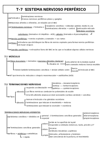 T-7-SISTEMA-NERVIOSO-PERFERICO.pdf
