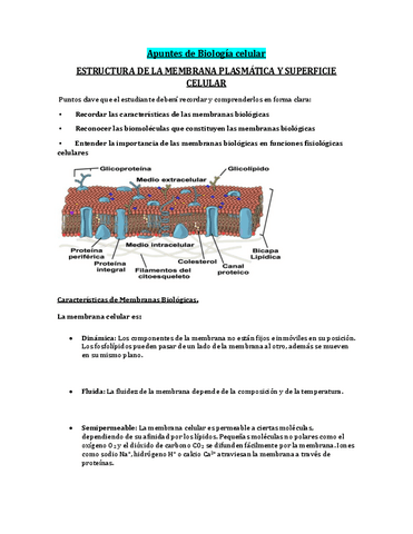 Estructura-y-composicion-Membrana-Celular-Biologia-Celular.pdf