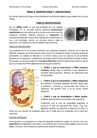 TEMA-8-HERPESVIRUS-Y-ADENOVIRUS.pdf