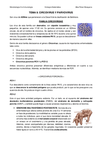 TEMA-9-Circovirus-Parvovirus-Retrovirus-Lentivirus.pdf