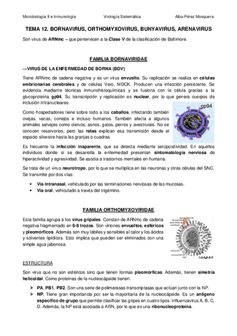 TEMA-12-Bornavirus-Orthomyxovirus-Bunyavirus-Arenavirus.pdf