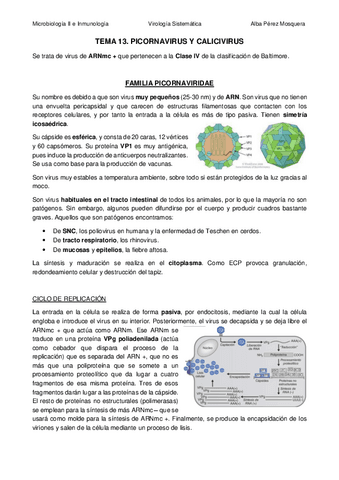 TEMA-13-Picornavirus-y-Calicivirus.pdf
