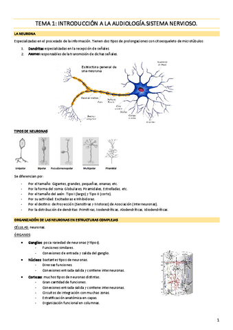 TEMA-1-Introduccion-a-la-audiologia.sistema-nervioso.pdf
