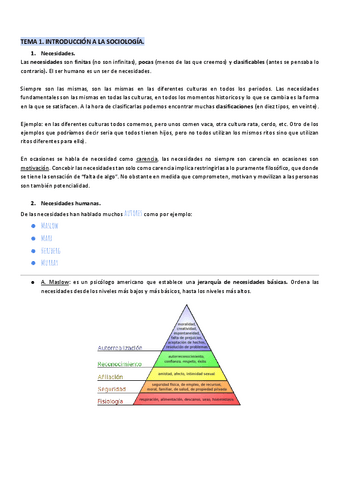 Teoria-Sociologia.pdf