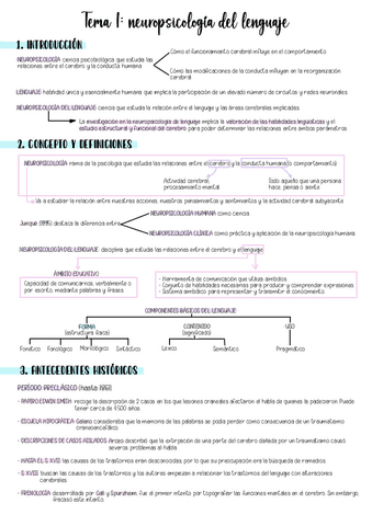 NEUROLINGUISTICOS-T1.pdf