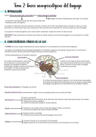 NEUROLINGUISTICOS-T2.pdf