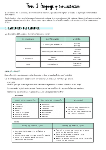 NEUROLINGUISTICOS-T3.pdf