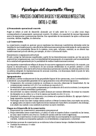 Tema-6-NINEZ.pdf