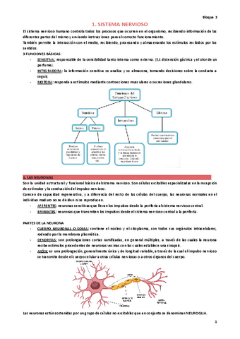 CLINICA-Bloque-3-resumen.pdf