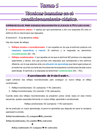 Apuntes-Tema-5-habilidades-terapeuticas.pdf
