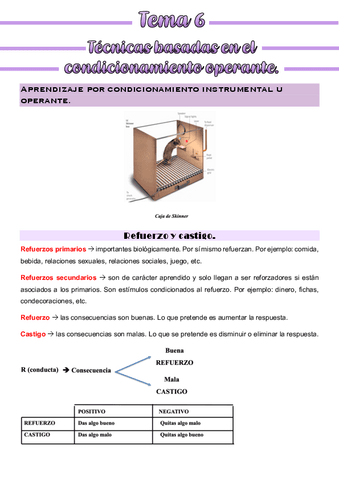 Apuntes-Tema-6-habilidades-terapeuticas.pdf