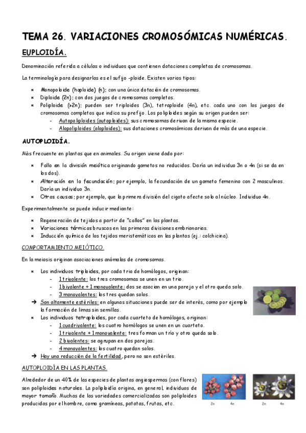 Tema-26-Genetica.pdf