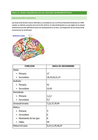 ANATOMIA-TEMA-12.pdf