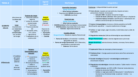 Tema-8.Queratomicosis-otomicosis-y-micosis-subcutaneas.pdf