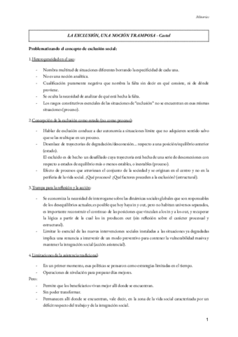 Resumenes-textos-y-expositivas-MINORIAS.pdf