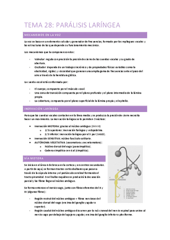 28.-Paralisis-laringeas.pdf