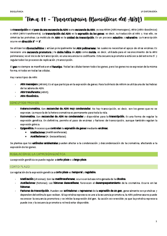 Tema-11-Transcripcion.pdf