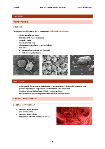 Fisiologia-tema-4.3.pdf