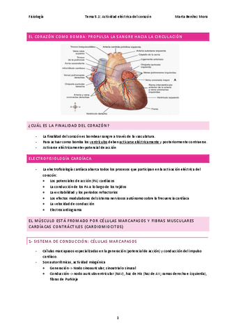 Fisiologia-tema-5.1.pdf