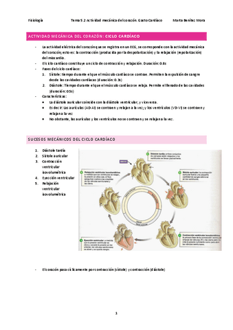 Fisiologia-tema-5.2.pdf