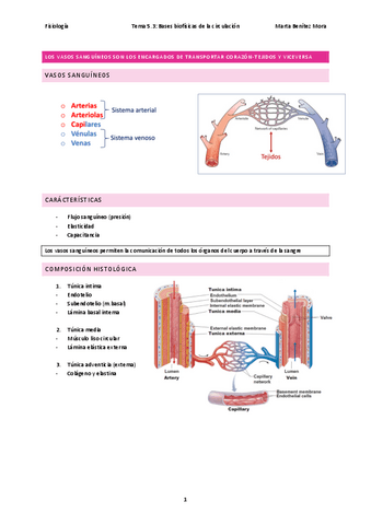 Fisiologia-tema-5.3.pdf