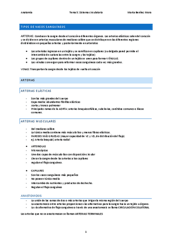 Anatomia-tema-5.pdf