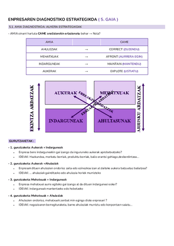 05.-GAIA-Enpresaren-diagnostiko-estrategikoa.pdf