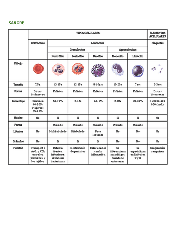 SANGRE.pdf