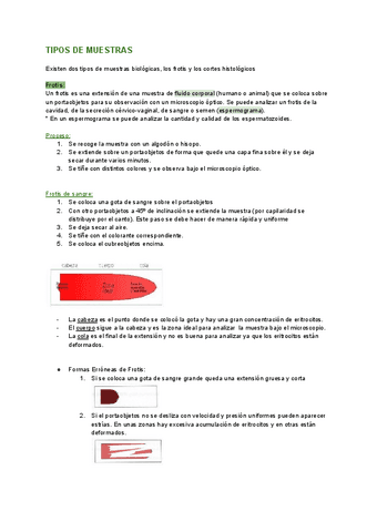 TIPOS-DE-MUESTRAS.pdf