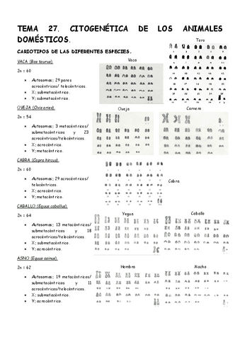 Tema-27-Genetica.pdf