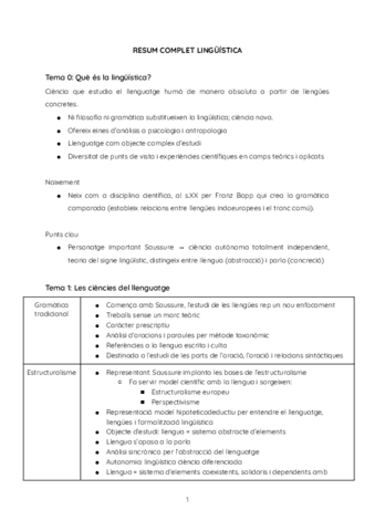 Resum-temari-linguistica.pdf