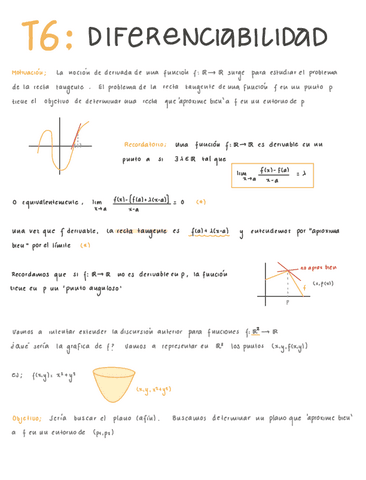 T6.-Diferenciabilidad.pdf