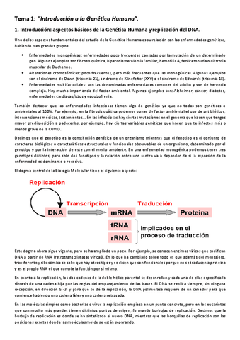 Apuntes-Genetica-Molecular-Humana.pdf