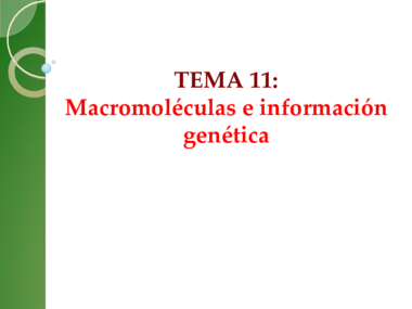 Tema 11.pdf