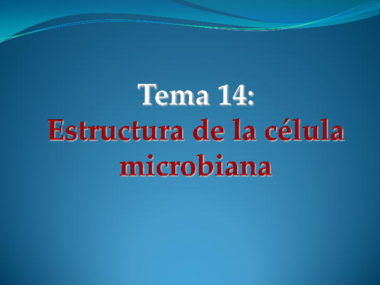 Tema 14.pdf