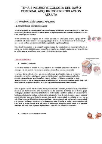 Tema-3.Trastornos-neuropsicologicos-en-poblacion-adulta.pdf