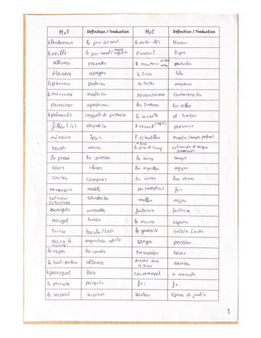 Vocabulaire-Lengua-C3-Frances.pdf