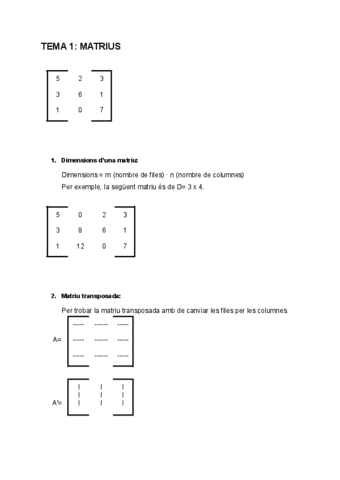 Tema-1-Matrius.pdf