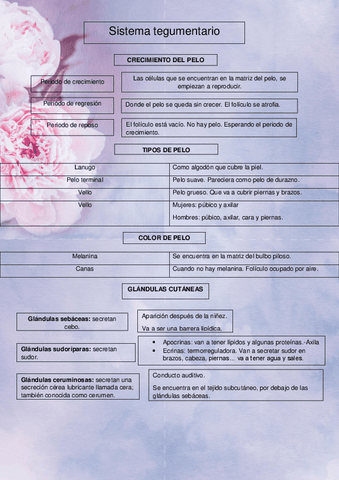 sistema-tegumentario1.pdf