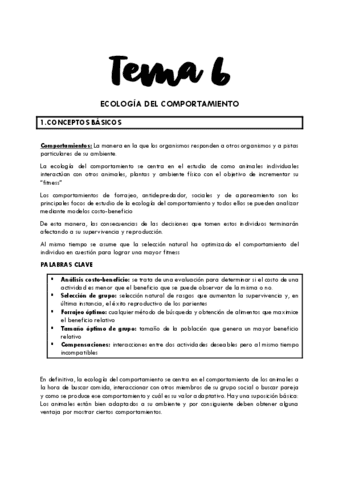 Tema-6.pdf