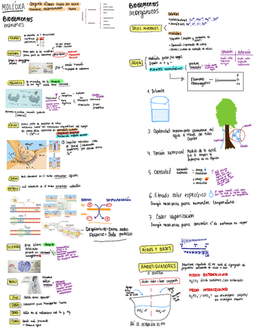 BIOELEMENTOS.pdf