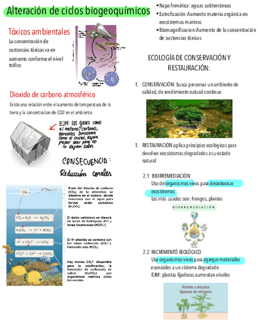 CICLOS-BIOGEOQUIMICOS.pdf